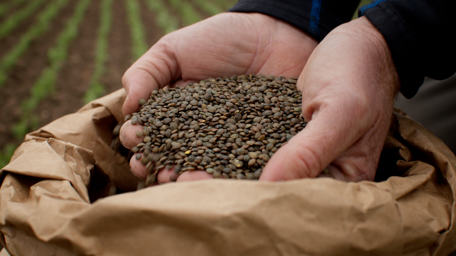 SPAR-Morgentau_16x9_Still_1