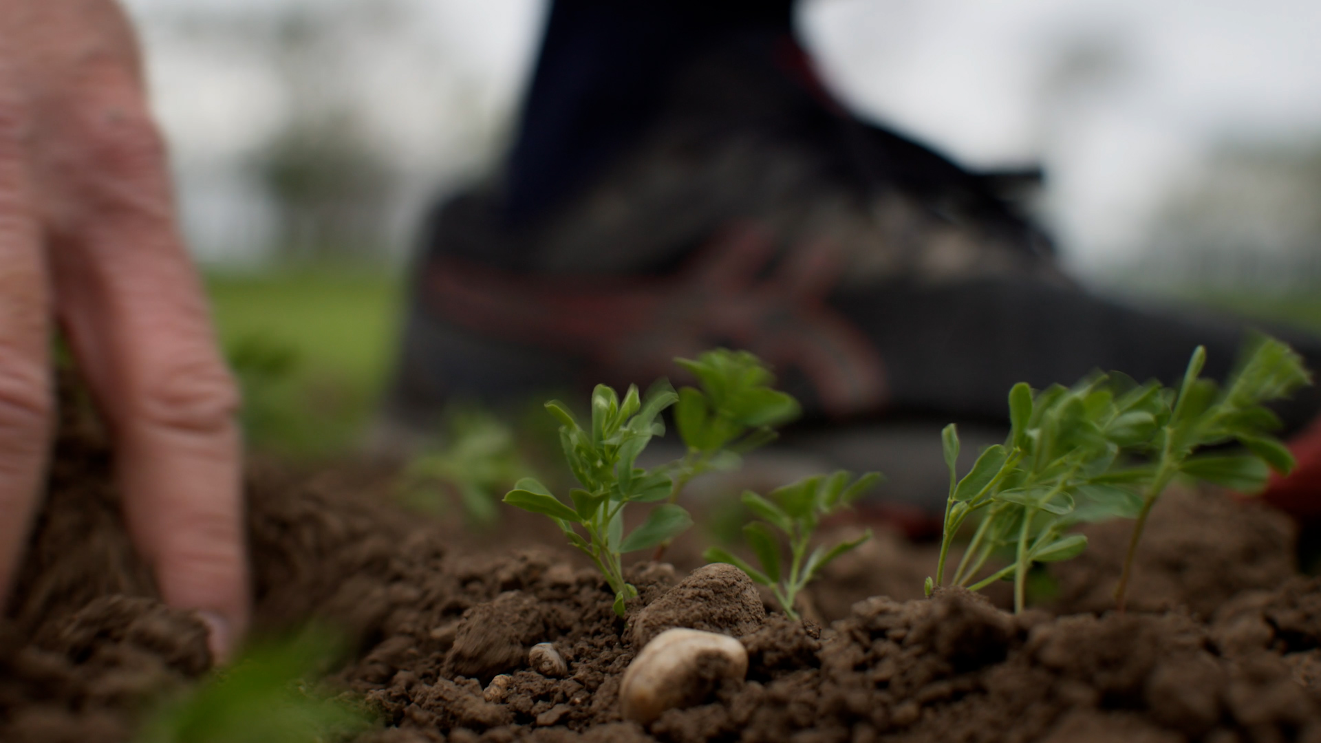 SPAR-Morgentau_16x9_Still_5