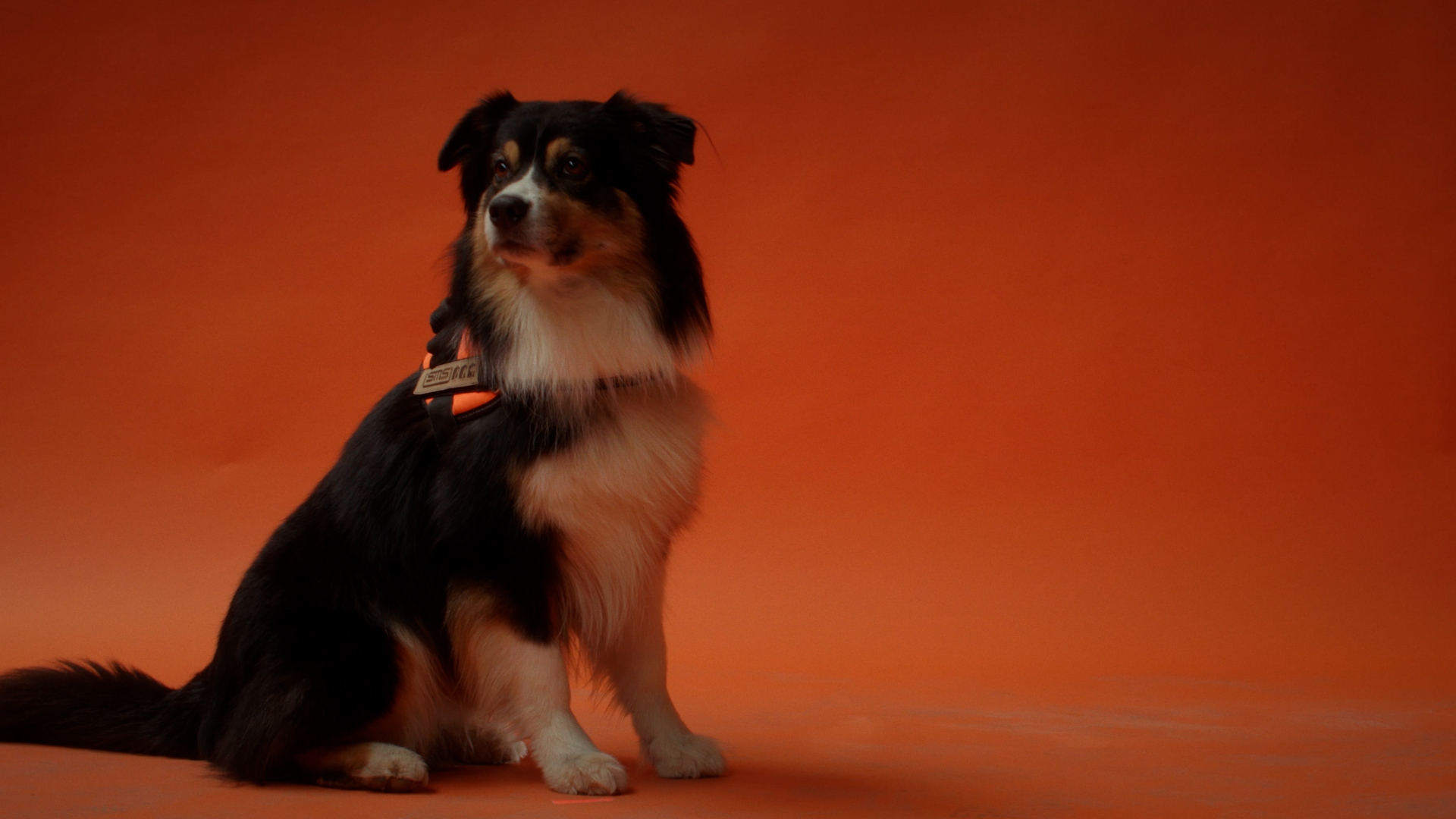 SMS-Group_16x9_Still_10