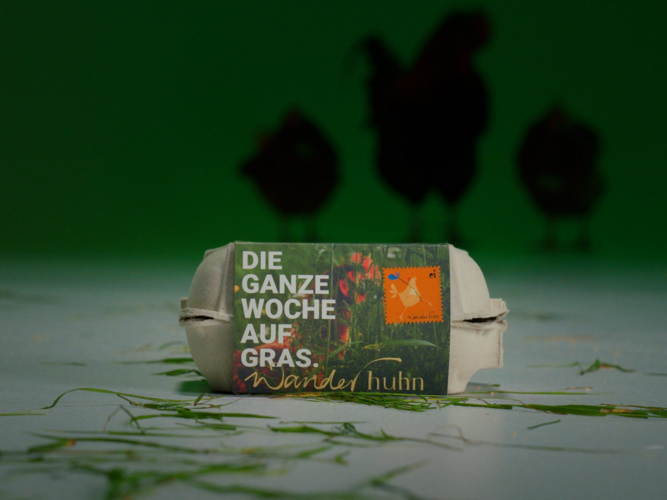 WANDERHUHN_16x9_Still_4