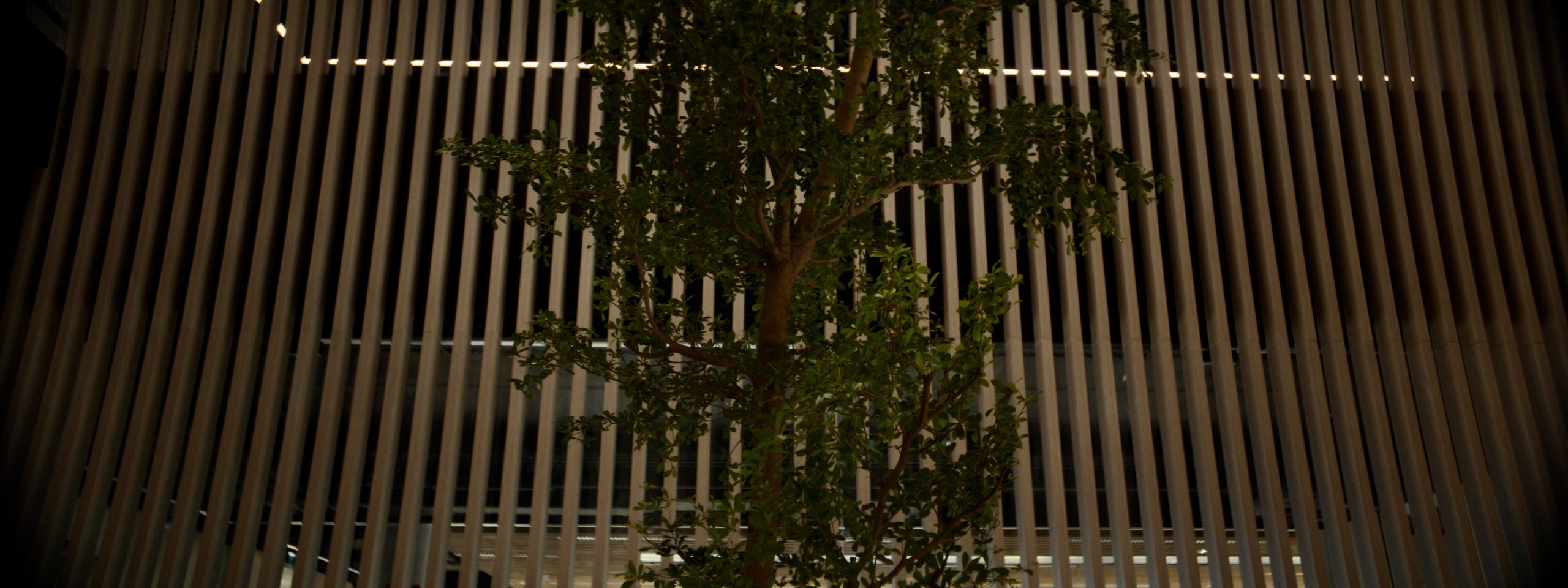 X-TENTION_16x9_ep4_Still_31