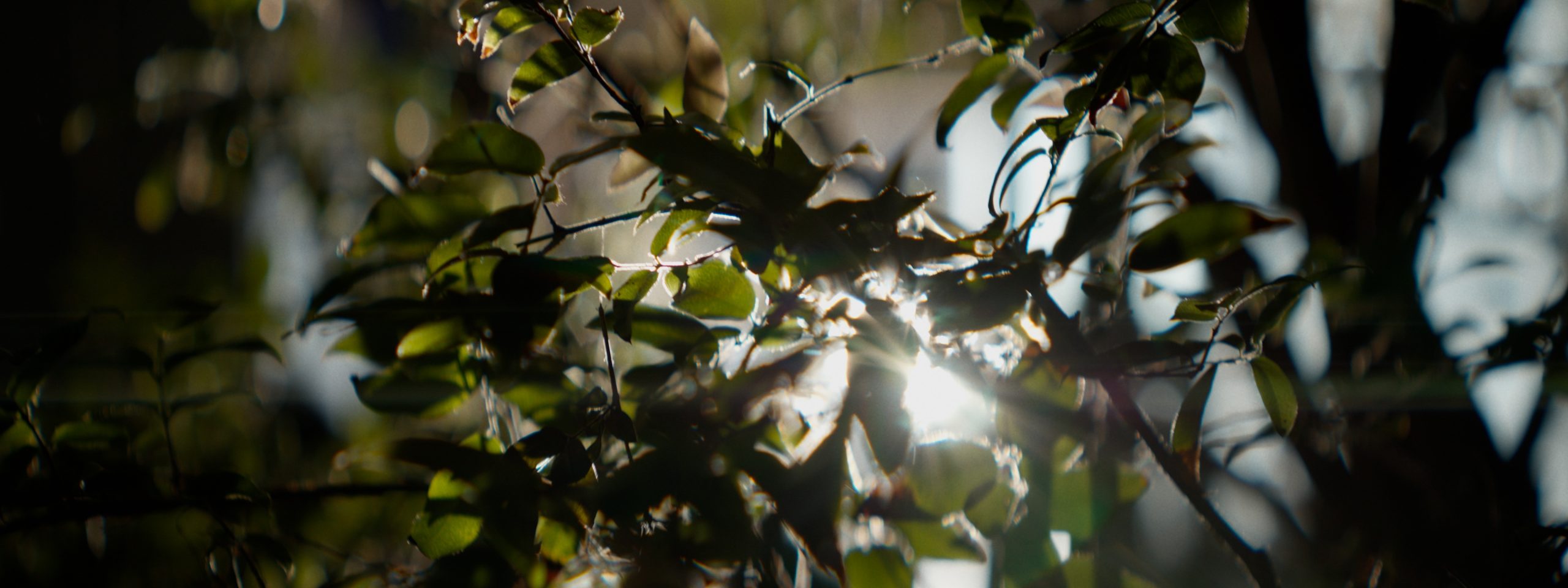 X-TENTION_16x9_ep4_Still_37